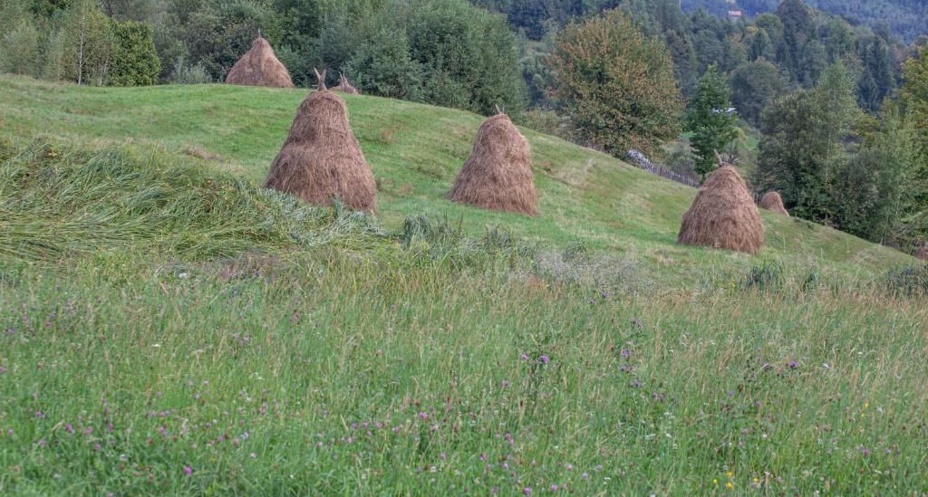 Дома для отпуска Casa De Vacanta Armi Molidu